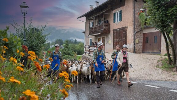 The Beauty of the Alpine Almabtrieb, Spas of Europe